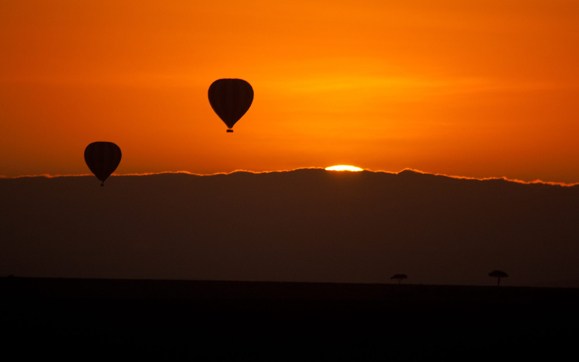 Hot air balloons catching the first light of sunrise over the Maasai Mara, Kenya