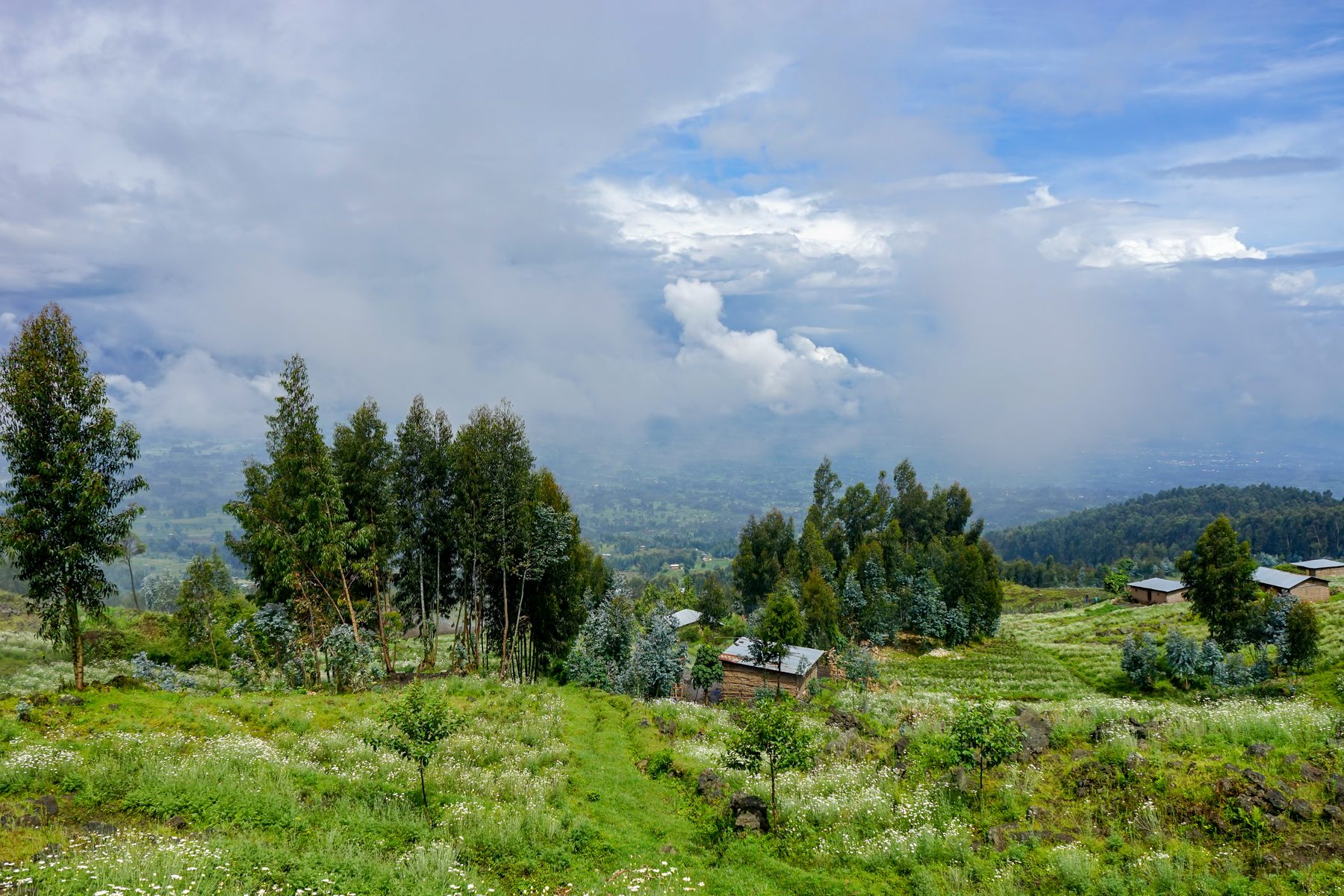 Volcanic hills rising above farmland in Kinigi, Rwanda