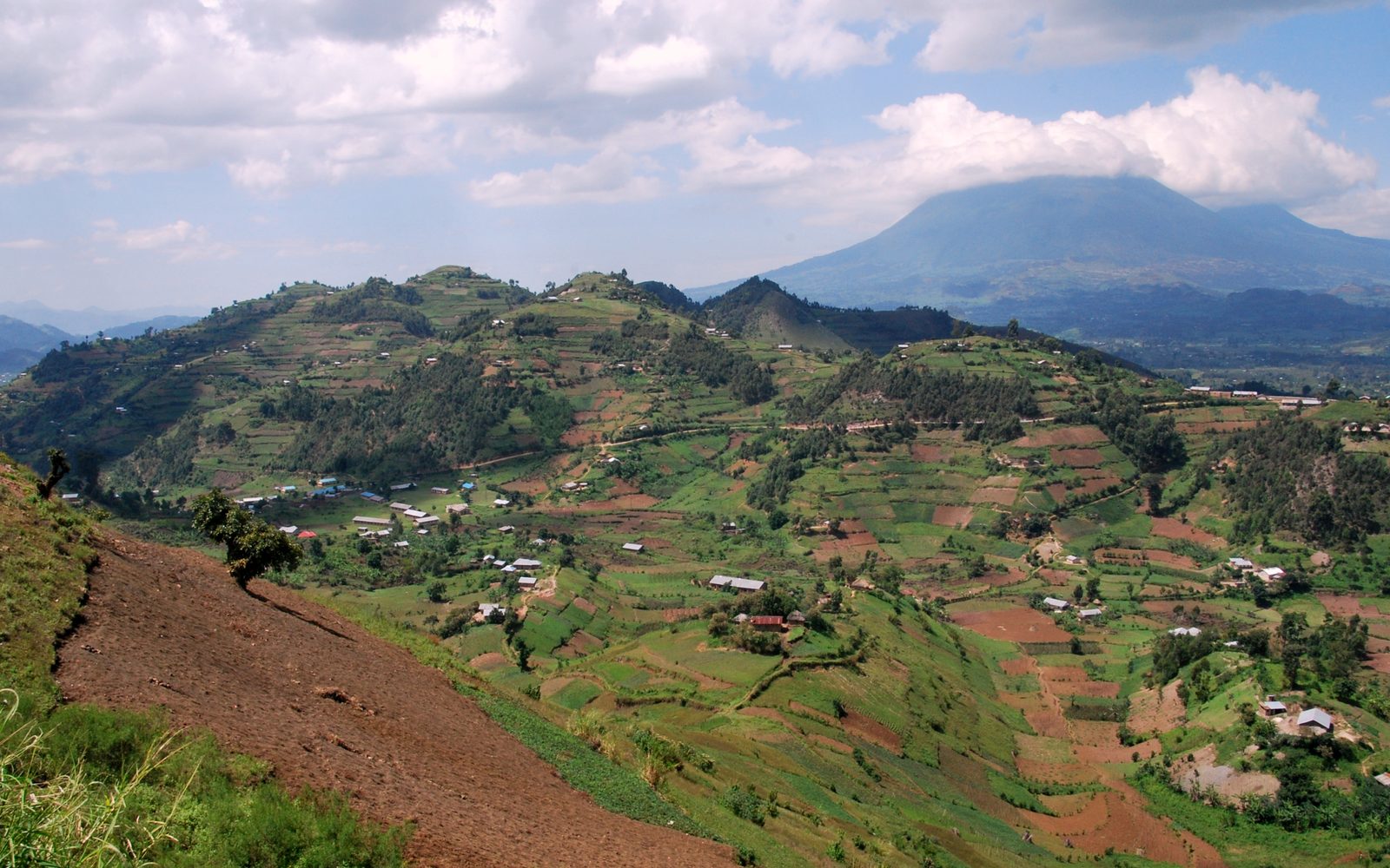 Green hills and farmland rolling into the distance in rural Rwanda
